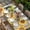 Light Brown Yellow, variant on Yellow Sunflowers Table Cloths for 6 Foot Rectangle Tables, Country Cow Flower Butterfly Farmhouse Cream Patio Waterproof Elastic Fitted Tablecloths, Washable Rectangular Table Cover for Camping
