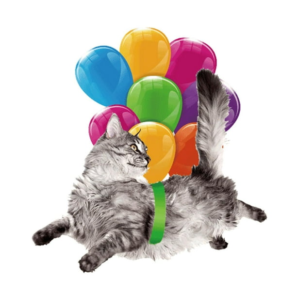 Adornos colgantes para coche con globos coloridos colgantes decorativos Gato gris