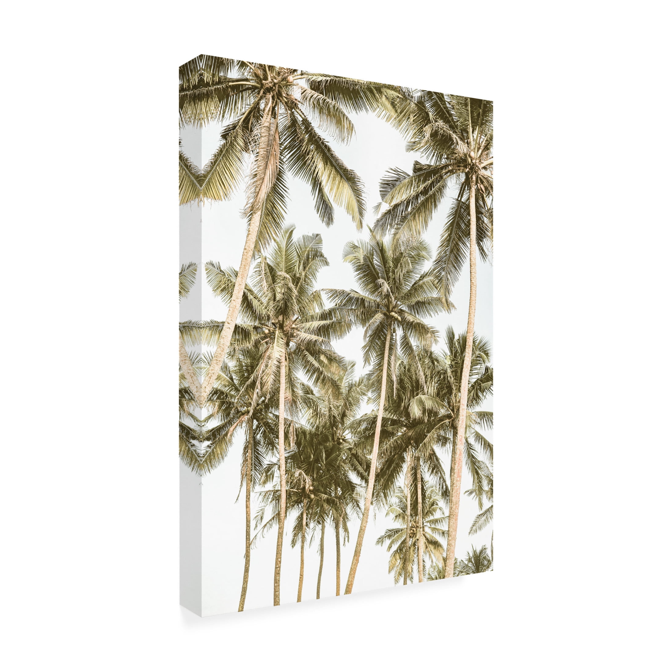 Trademark Fine Art Shot by Clint Island Bliss Canvas Wall Art