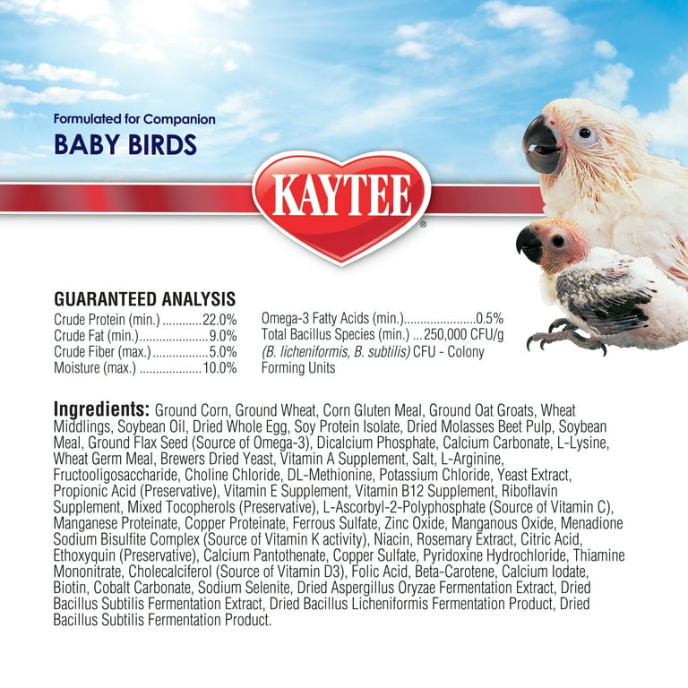 Kaytee Exact Hand Feeding Formula for Cockatiel Parrot Baby Bird Food Mix 5 Pound Walmart