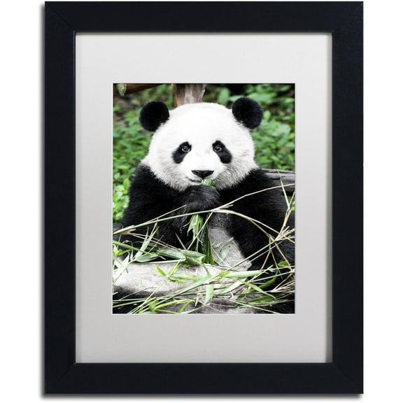 Trademark Fine Art "Giant Panda" Canvas Art by Philippe Hugonnard, White Matte, Black Frame
