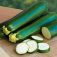 thumbnail image 3 of Burpee Courgettes Vert Foncé Org - Courge, Été, 3 of 5