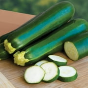 Burpee Organic Dark Green Zucchini Summer Squash Vegetable Seed, 1-Pack