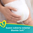 thumbnail image 3 of Pañales Pampers, tamaño N, 20 unidades, paquete de 2 x 40, 3 of 6