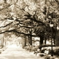 thumbnail image 2 of Alan Hausenflock 36x36 Gallery Wrapped Canvas Wall Art Titled - Savannah Sepia Sq I, 2 of 4