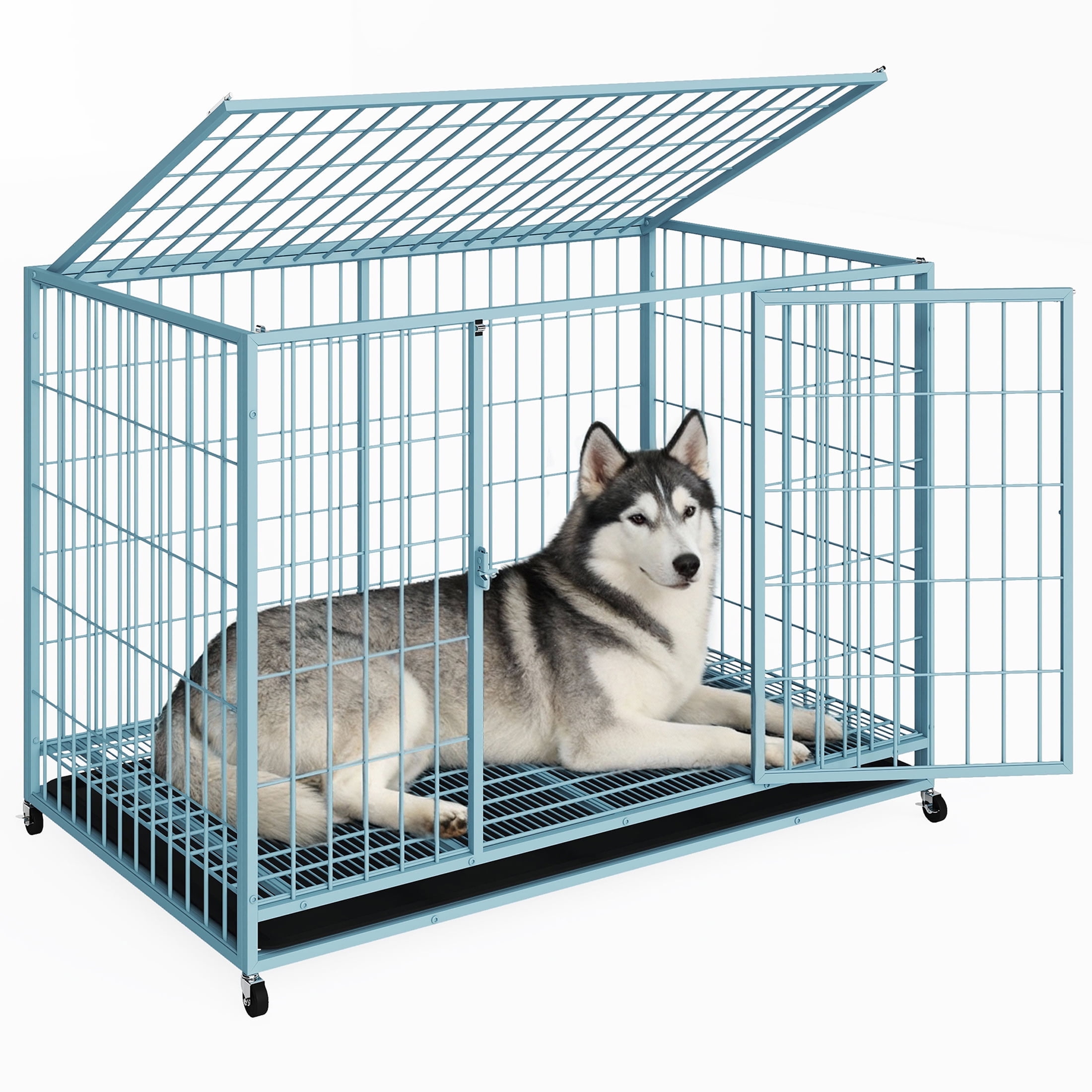 TIME RAY 48 inch Metal Wire Dog Crate for Large Dogs with Tray, Double Door, Puppy Dog Cage for Yard Indoor Outdoor Use,XL Dog Cage Kennel,Blue