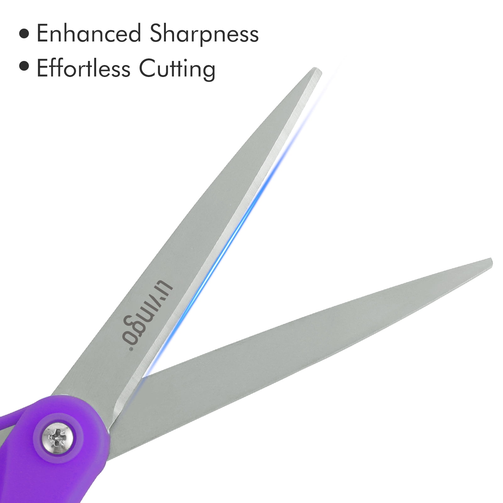 LIVINGO 24 Pack Office Scissors, Multipurpose 8” Sharp Shears Bulk for Adult Home Purple Green Gray