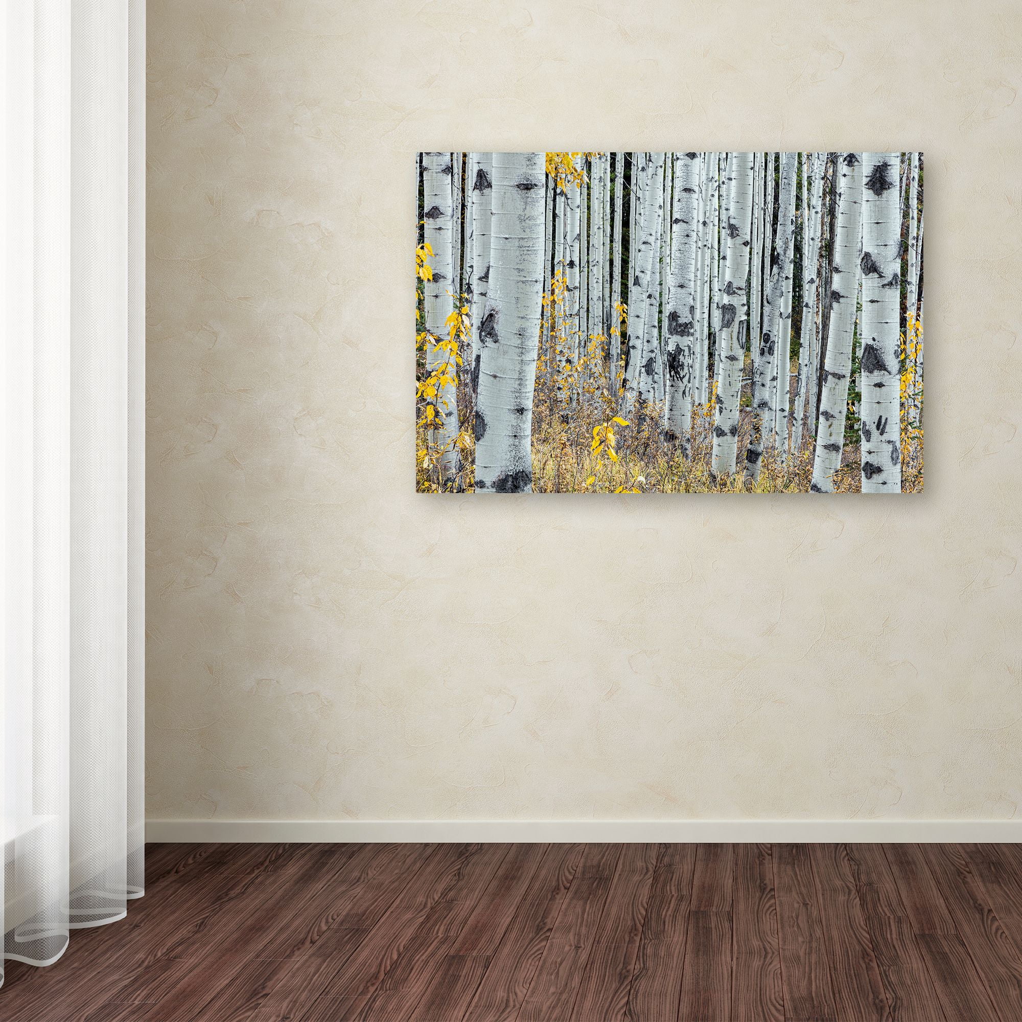 Pierre Leclerc 'Forest of Aspens' Canvas Art 16 x 24