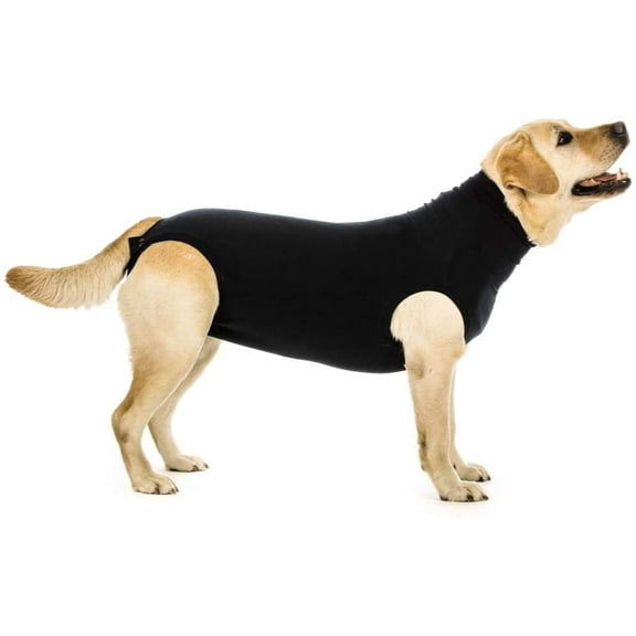 Suitical Recovery Suit Dog