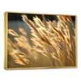 thumbnail image 2 of Designart "Golden Dreams In Tall Grass Meadows" Meadow Floater Framed Canvas Art Print, 2 of 5
