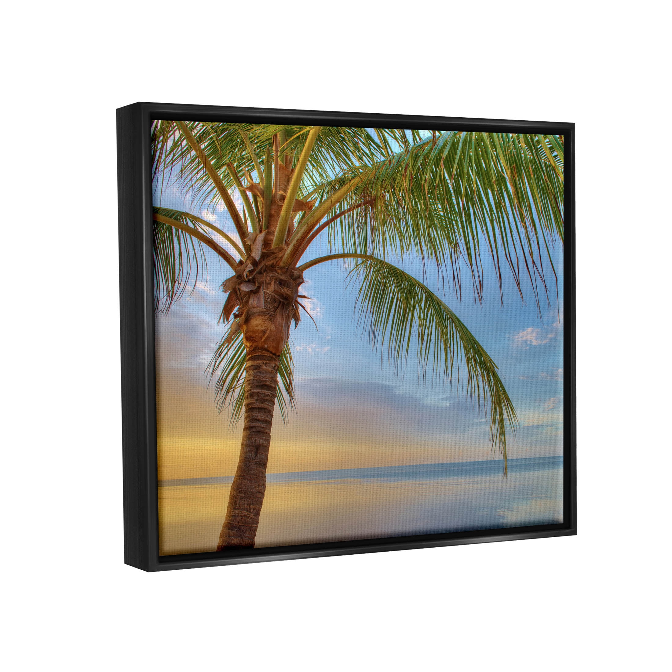 Sunrise Palm Tree Sky Reflection Coastal Photograph Jet Black Framed Art Print Wall Art