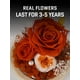 thumbnail image 2 of Rosa preservada FIACO Forever Fresh Flowers en cúpula de cristal, 2 of 6