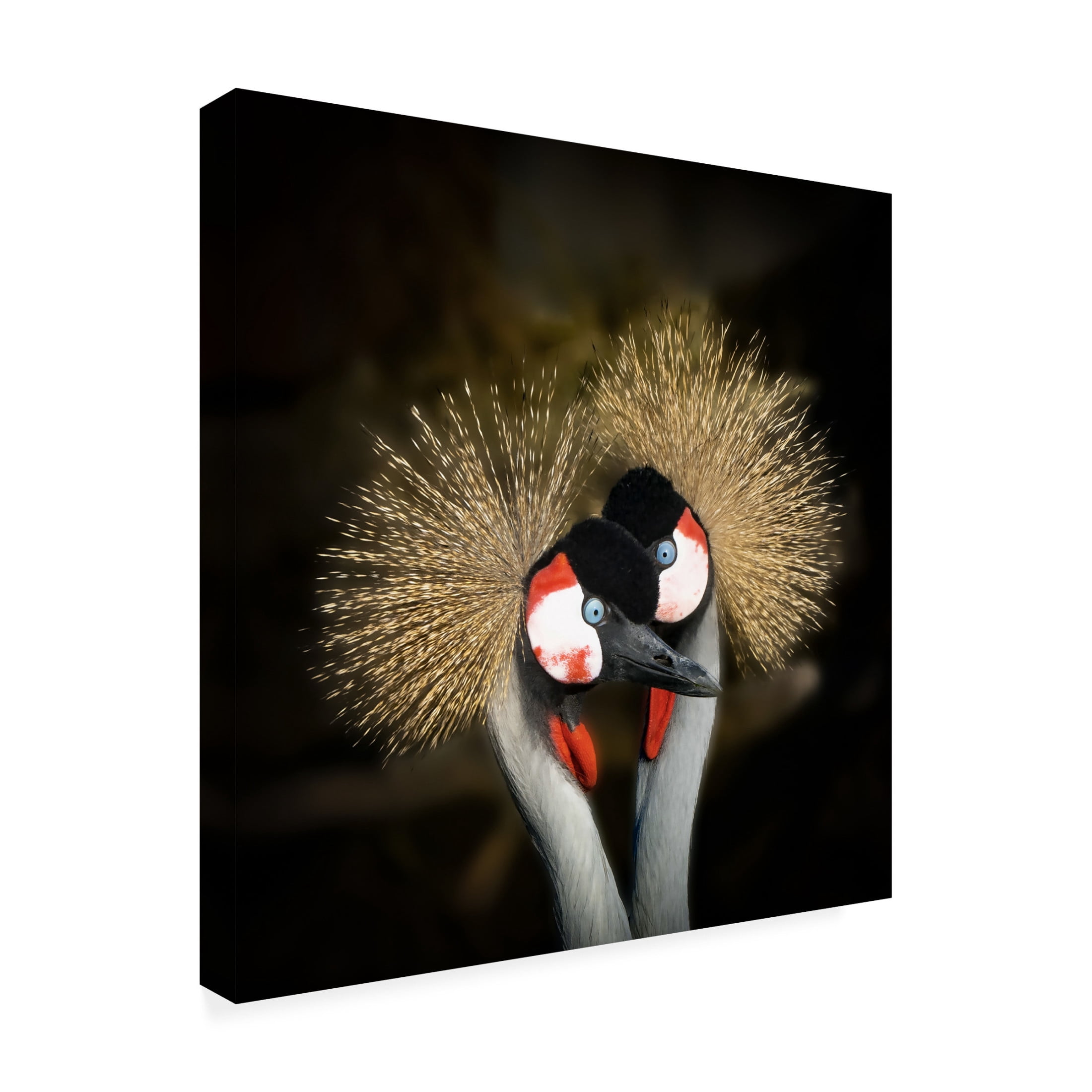 Trademark Fine Art Michel Romaggi Makeup Canvas Wall Art
