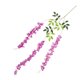 thumbnail image 2 of Naiovety 12 piezas de flores artificiales de Wisteria Vine para jardín púrpura Type2 NO2, 2 of 6