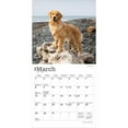 thumbnail image 3 of Golden Retrievers | 2026 7x14" (Hanging) Monthly Mini Wall Calendar | BrownTrout, 3 of 9
