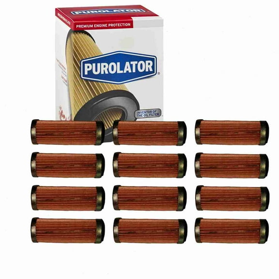 12 pc Purolator F10158 Fuel Filters for 17067151 222-4656 25162118 3052 33052 33052MP 5052 507 5651803 5651810 5651923 83200020 83300054 86052 8983 500 890 8983 501 022 95052 AG807 ALG-471 BG158
