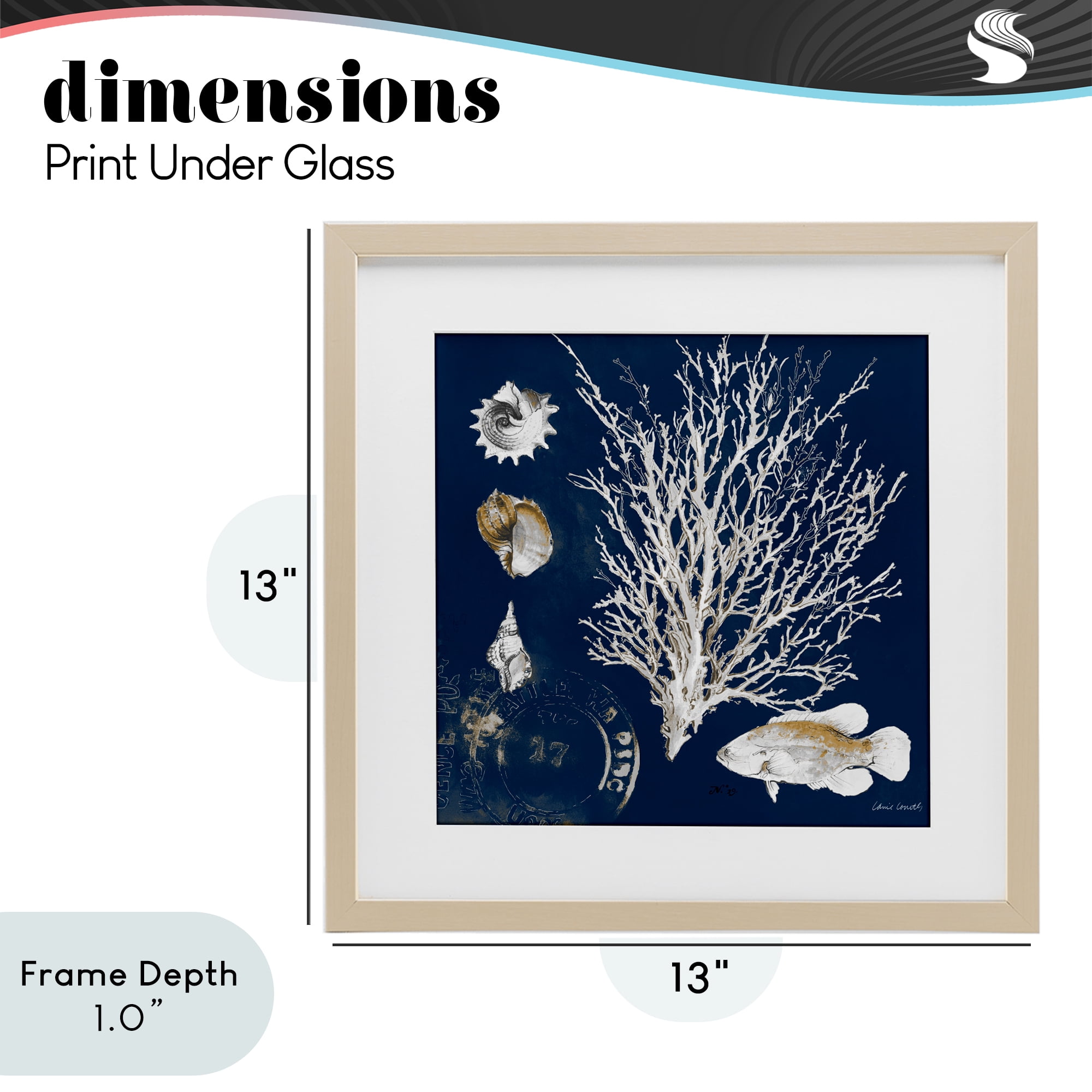 Stupell Industries Coral Medley on Navy Birch Framed Print Under Glass, design by Lanie Loreth
