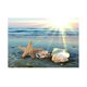 thumbnail image 1 of 1x Imágenes decorativas Fondo Imagen Decoración 61x30cm Gloria Vinilo decorativo pecera, 1 of 5
