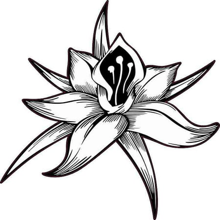 Pressed Flower Sticker - 5in x 5in White Flower Sticker