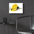 thumbnail image 5 of Epic Art 'Fish 5 Red Yellow' by Olga and Alexey Drozdov, Acrylic Glass Wall Art, 16"x12", 5 of 8