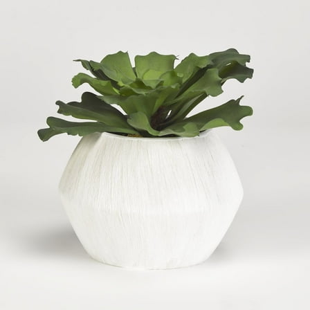 D & W Silks Large Ruffled Echeveria in White Ceramic Pot