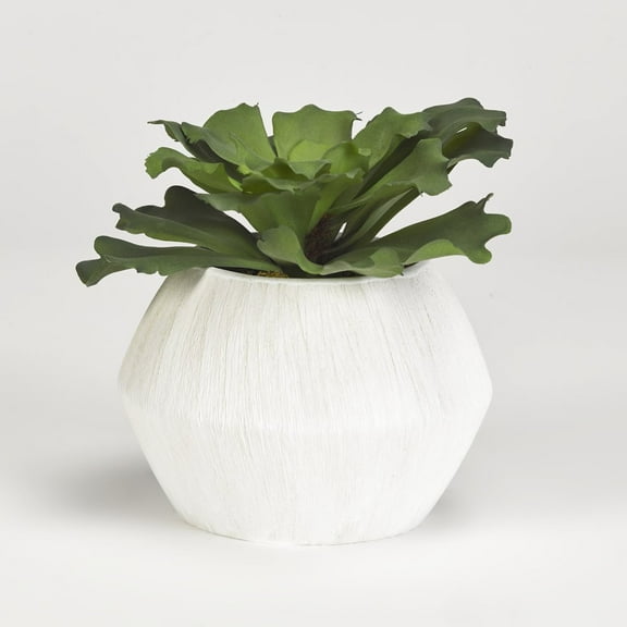 D & W Silks Large Ruffled Echeveria in White Ceramic Pot
