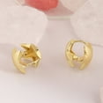 thumbnail image 7 of Lancharmed Gold Plated Women's Earrings,Polished Frosted Star Earring 40Th Birthday Gifts Women, 7 of 7