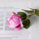 thumbnail image 1 of 10 piezas de rosas artificiales JINMJMXG flores de seda capullos de rosa falsos rosa oscuro, 1 of 5