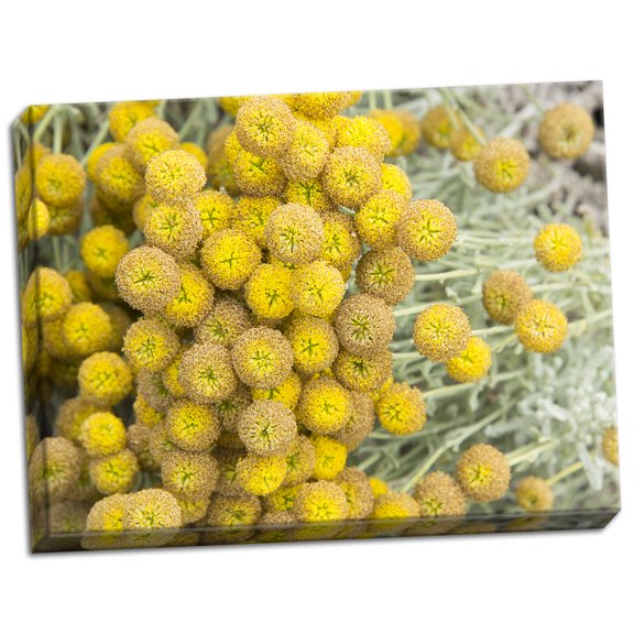Gango Home Decor Yellow Puff Balls by George Johnson (Ready to Hang); One 24x18in Hand-Stretched Canvas