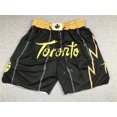 thumbnail image 1 of Mcgee'S Raptors Retro Embroidered Zipper Pocket Shorts Basketball Embroidered Shorts, 1 of 2