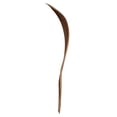 thumbnail image 2 of Vickerman 24-30" Natural Palm Paddle, Set of 3, Dried, 2 of 5