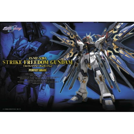 Bandai Hobby Gundam Strike Freedom Perfect Grade 1/60 PG Model (Best Pg Gundam Model)