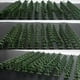 thumbnail image 4 of Hombres Figuras de Acción Pequeños Soldados para Niños 100 Pcs Soldado Juguete Playset Juguetes Decoraciones de Fiesta Cumpleaños Juguetes, 4 of 4