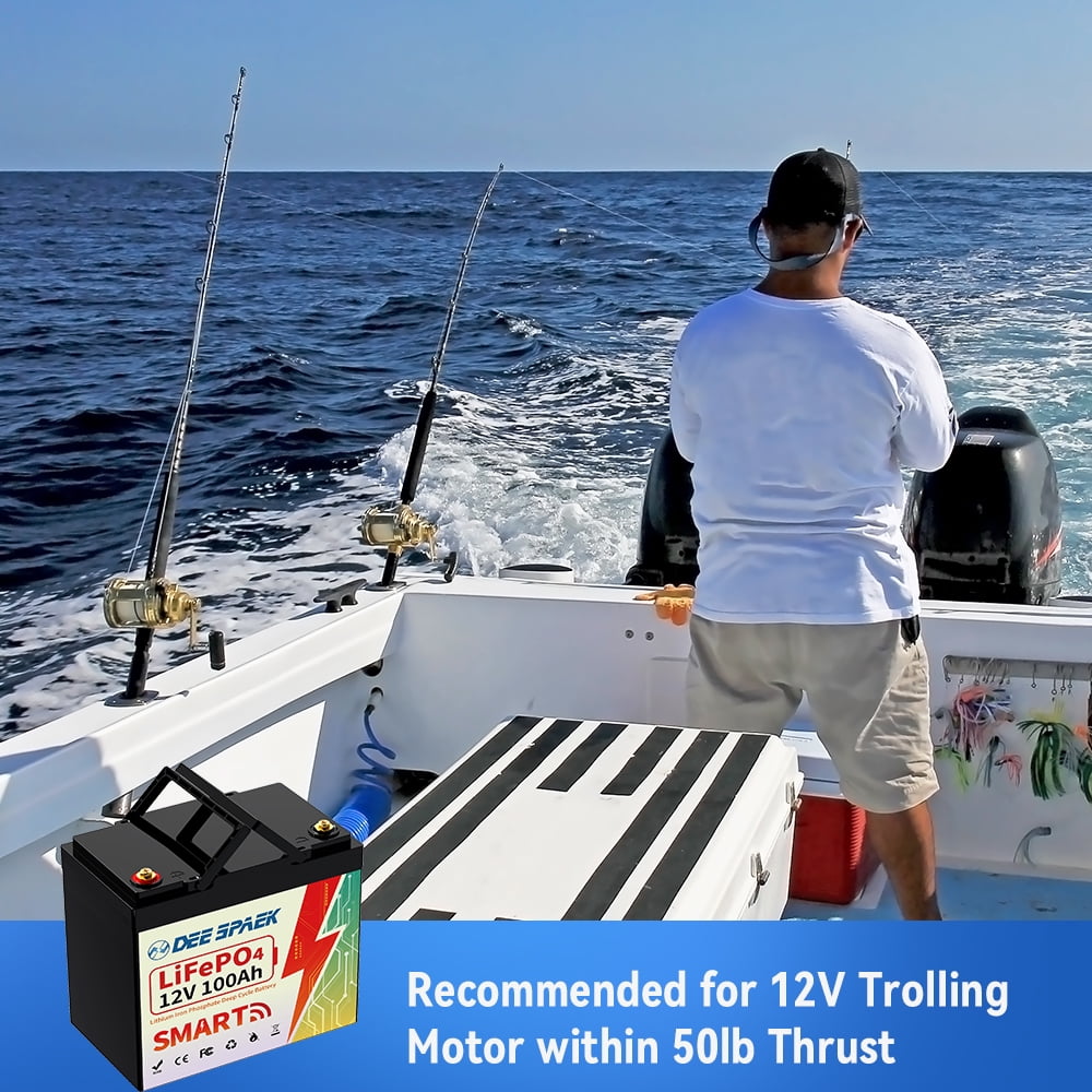 12V 100Ah Mini Lithium LiFePO4 Battery Bluetooth,for RVs,Solar,Marine,Boat,Trolling Motor,Camping,DEESPAEK Group 22NF Deep Cycle Batteries