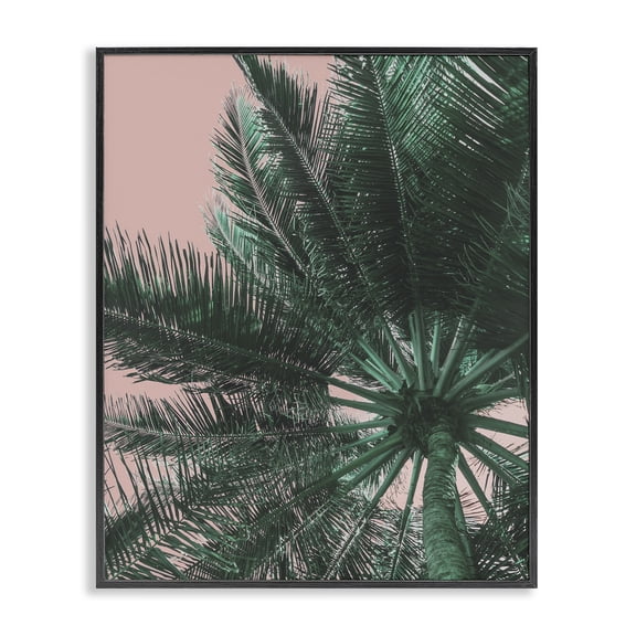 Stupell Industries Coastal Summer Overhead Palm Tree Black Framed Giclee Art, 16 x 20, by Lil' Rue