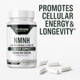 thumbnail image 4 of Uthpeak NMNH NAD Supplement 250mg - Recommended Dose for Healthy Aging, a Memory Focus Supplement for Cognitive Function Support (60 Capsules) - Alternative to NR, NAD, Quercetin and Fisetin, 4 of 7