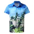 thumbnail image 3 of Camisa de playa de manga corta hawaiana para hombre, camisas informales con botones de verano estampadas Pompotops oipoqjl44845, 3 of 6