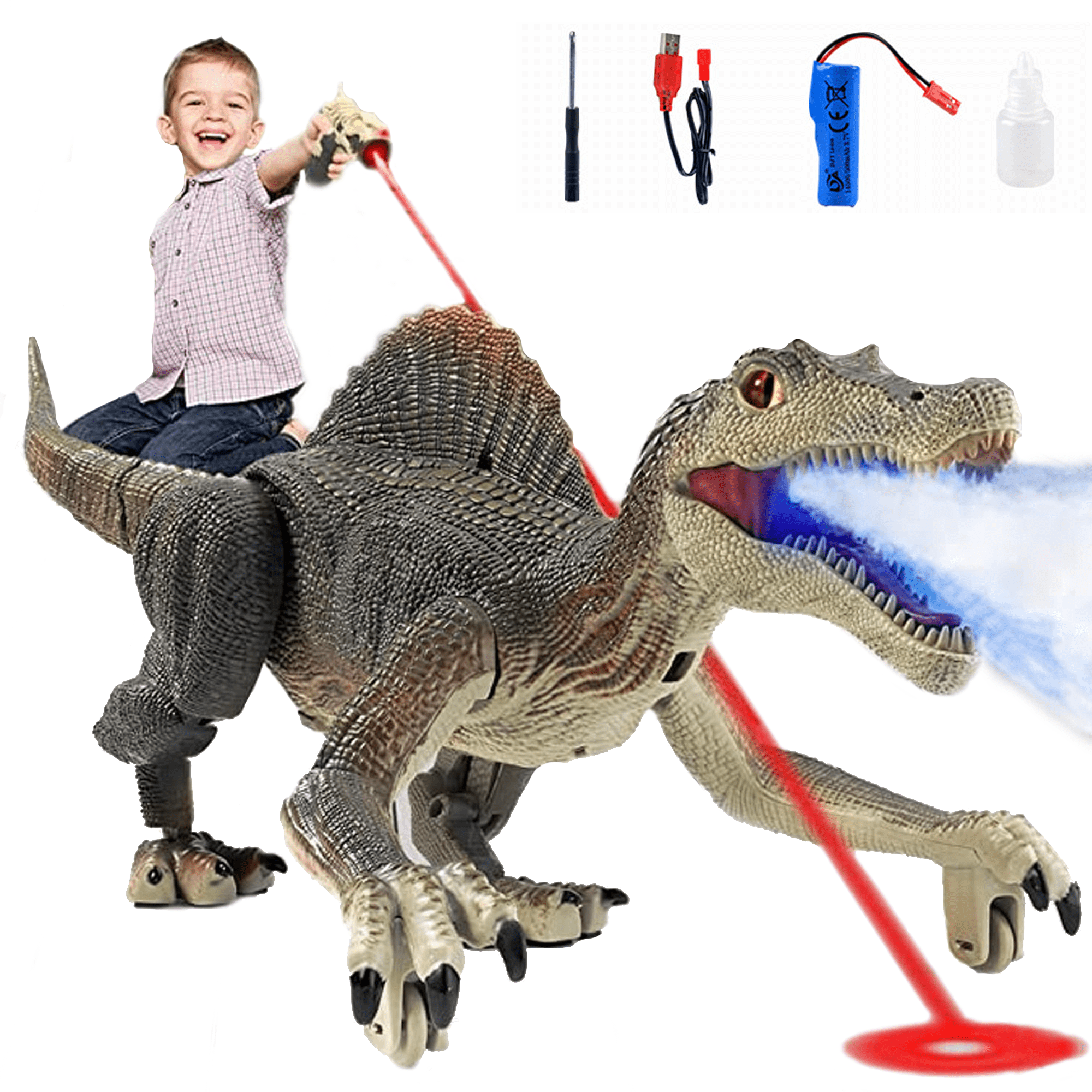Richgv Remote Control Dinosaur Toys for Kid Walking RC Dinosaur Toys