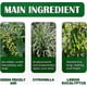 thumbnail image 5 of Natural Green Prickly Ash Extract Dust Mite Spray for Home Allergen Control, 5 of 5