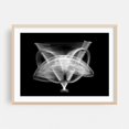 thumbnail image 2 of Gyroscope - Photography Abstract Black and White Geometric Modern Art Surrealism Minimalist Space Unframed Wall Art Print 5 x 7 inches, 2 of 7