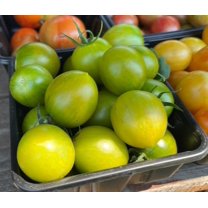 Sherwood's Seeds Green Bumblebee Heirloom Tomato Seeds, Premium
