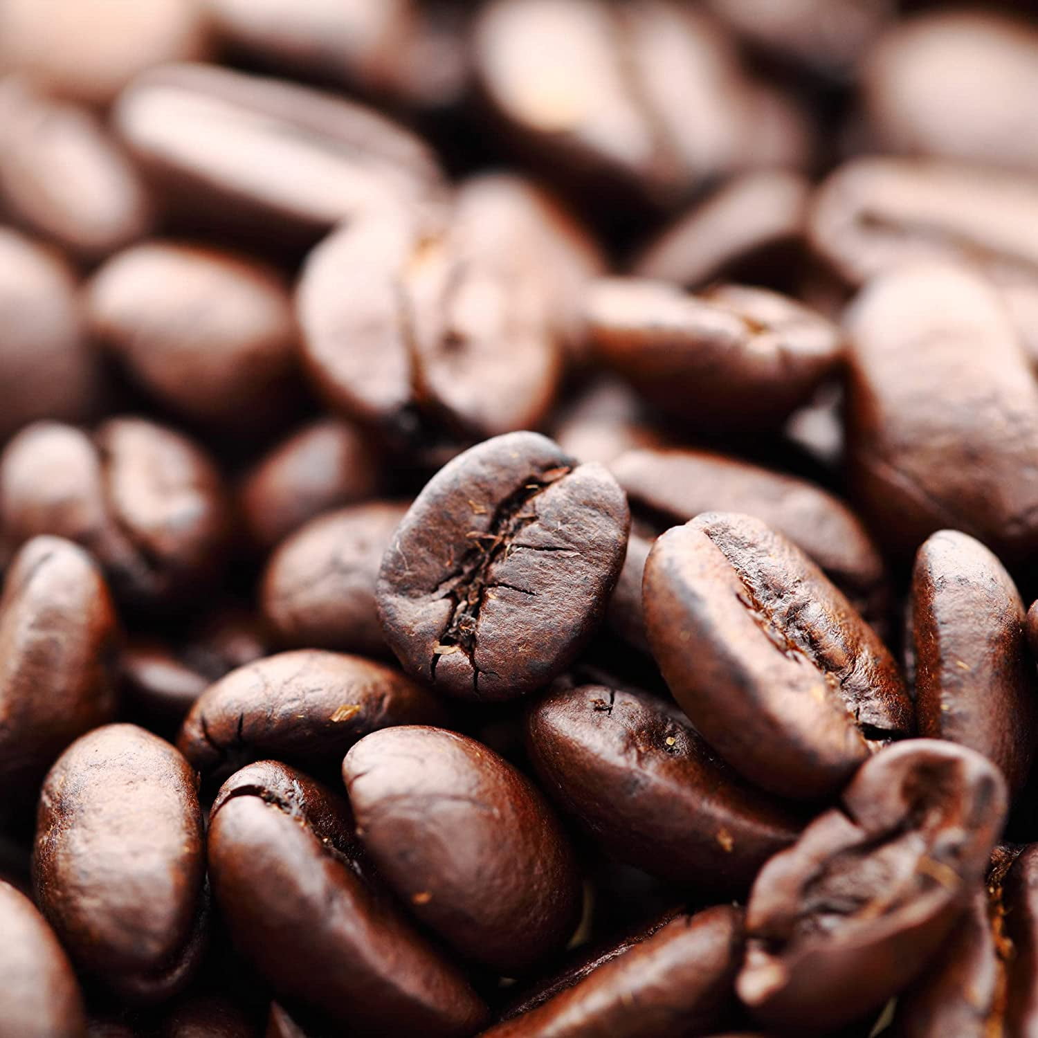 Zavida Hazelnut Vanilla Whole Bean Coffee, 32 Ounce
