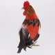 thumbnail image 4 of Figura Animal de juguete 2 Unids Artificial Gallo Pollo Granja Animales Plumas Prop Inicio Decoración De Jardín Al, 4 of 7