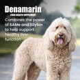thumbnail image 2 of Suplemento para la salud del hígado Nutramax Denamarin para perros grandes, 30 unidades, 2 of 8