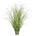 thumbnail image 1 of Vickerman VICK-TD190524 Vickerman 24 Pouces Vert Natif Grass In Iron Pot - TD190524, 1 of 2