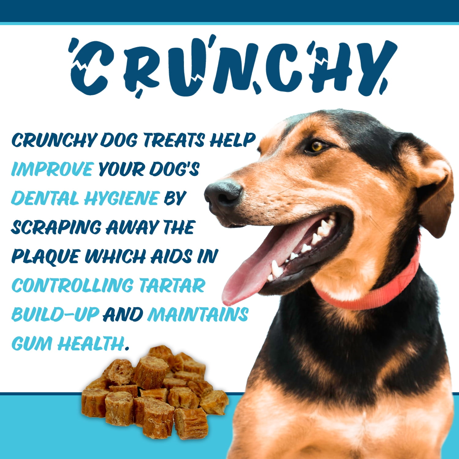 Texas Pet Company Chicken Jerky Crunchy Bites Dog Treats Chicken Flavor 14.5 oz Jar New