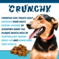 thumbnail image 6 of Texas Pet Company Chicken Jerky Crunchy Bites Dog Treats Chicken Flavor 14.5 oz Jar New, 6 of 9