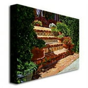 Trademark Art A Spanish Garden Canvas Wall Art by David Lloyd Glover