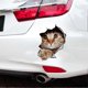 thumbnail image 3 of 3D Stereo Car Sticker Kitten Pattern 13 x 18cm, 3 of 4