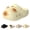 Yellow, variant on Cat Paw Slippers, 3D Ears & Tail, Thick EVA Cloud Cushion Sole, Breathable Closed-Toe Clogs with Arch Support, Adjustable Strap 2-in-1 Sandals for Indoor & Outdoor